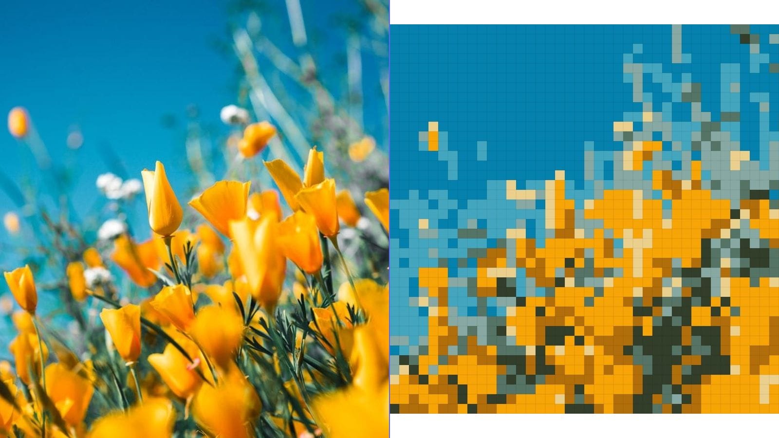 Best Free Cross Stitch Pattern Makers Compared (2026) — Pic2Pat vs FlossCross vs MakeLineArt