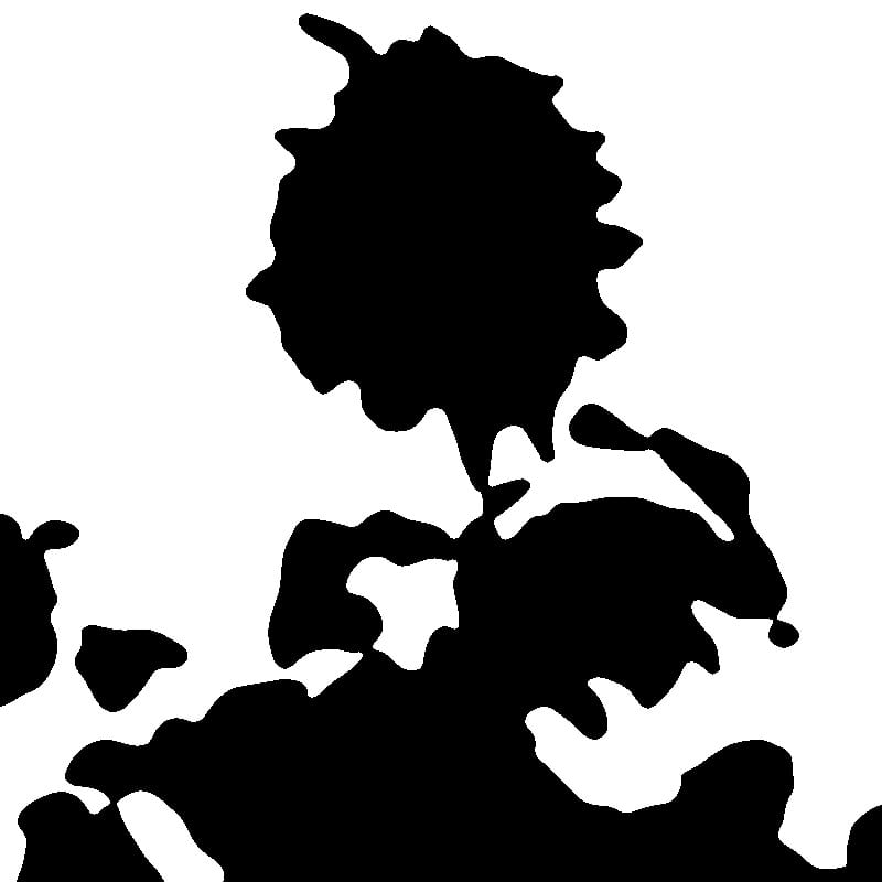 Gratis Figuurzaag Patroon Generator — Foto naar Houtbewerking Patroon — Na