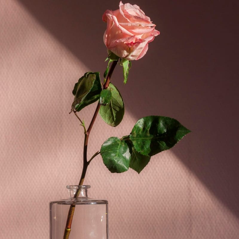 Gratis Glas-in-Lood Patroon Maker — Foto naar Glassjabloon — Voor